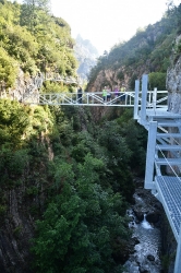 FORMIGAL_53
