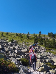 FORMIGAL_6