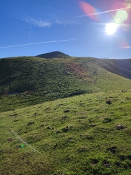 ARANTZAZU_48