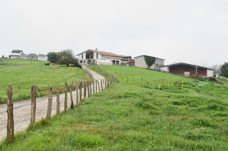 ESKOLARTEKO MARTXA_29