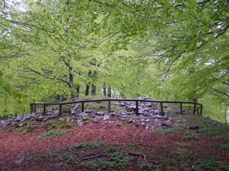 TXARADIGORRI_10