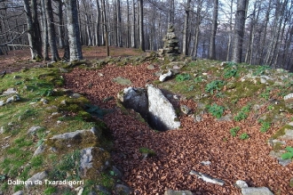 TXARADIGORRI_12