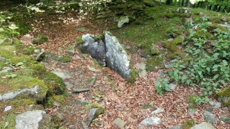TXARADIGORRI_15