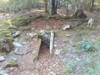 TXARADIGORRI_5
