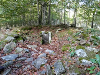 TXARADIGORRI_7