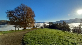 2023-12-03 OM FINALISTA EGUNA