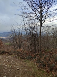 LEGAZPI-KOROSTI_16