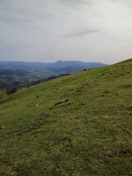 OHIARTE SAGARDOTEGIA_2