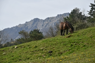 OHIARTE SAGARDOTEGIA_56