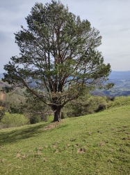 OHIARTE SAGARDOTEGIA_5