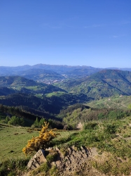 SAMIÑO-IZASPI-BELOKI_12