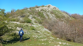 ARBARRAIN_39