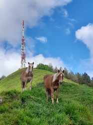 MURUMENDI_10