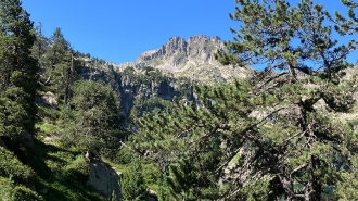 PEULLA-ESTANY GERBER-REF.MATARO_12