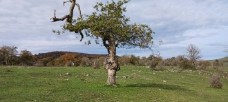 OPAKUA-ZALANPORTILLO_41