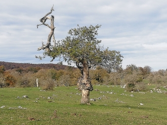 OPAKUA-ZALANPORTILLO_69
