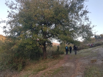 2024-11-17 GALARRETA-PINPIL-GAPARRETA