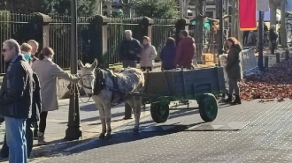 LAZKAO ASTOTXO EGUNA 2025_14