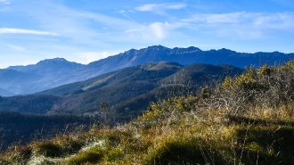 OTAÑO_12