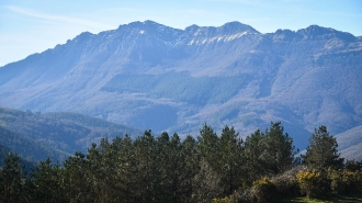 OTAÑO_19