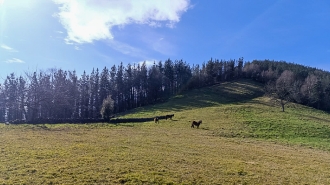 OTAÑO_50
