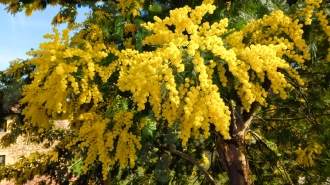 2025-02-16 MUTILOA - BERNAOLA - AIZPURU - OTAÑO - AIZPEA - MUTILOA