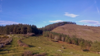 OTAÑO_78