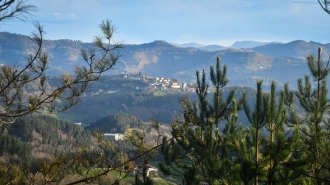 OTAÑO_7