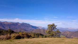 OTAÑO_80