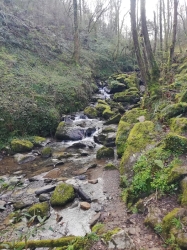 AITZPITARTE_11
