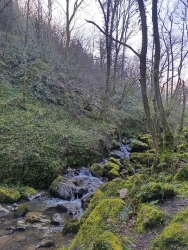AITZPITARTE_8