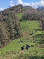 AKOLA_90