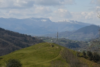 AKOLA_97