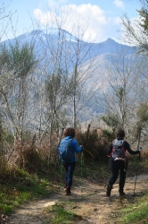 MALBAZAR_46