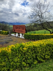 ISASTEGI_1