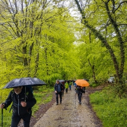 ISASTEGI SAGARDOTEGIA_20