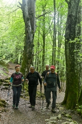 2025-05-04 ARANTZAZU-TELLAKASKUETA-ZABALAITZ-PERUAITZ-URBIA-ARANTZAZU
