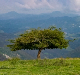 LIZARRUSTI-LARRAITZ_28