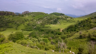 LIZARRUSTI-LARRAITZ_31