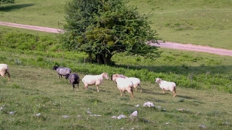 LIZARRUSTI-LARRAITZ_32