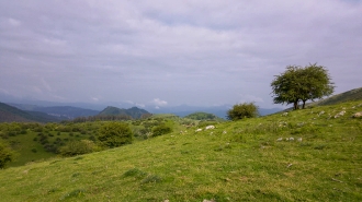 LIZARRUSTI-LARRAITZ_33