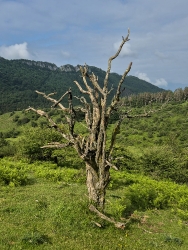 LIZARRUSTI-LARRAITZ_39