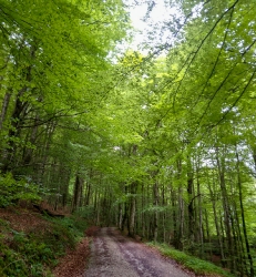 LIZARRUSTI-LARRAITZ_3