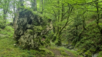 LIZARRUSTI-LARRAITZ_40