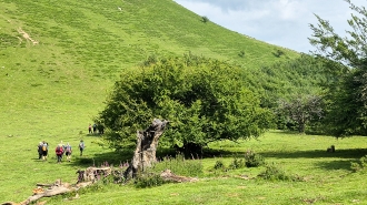 LIZARRUSTI-LARRAITZ_43