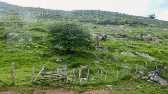 LIZARRUSTI-LARRAITZ_51