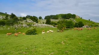 LIZARRUSTI-LARRAITZ_55