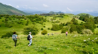 LIZARRUSTI-LARRAITZ_60