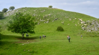 LIZARRUSTI-LARRAITZ_62