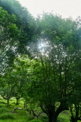 LIZARRUSTI-LARRAITZ_65